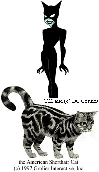 Picture of Catwoman